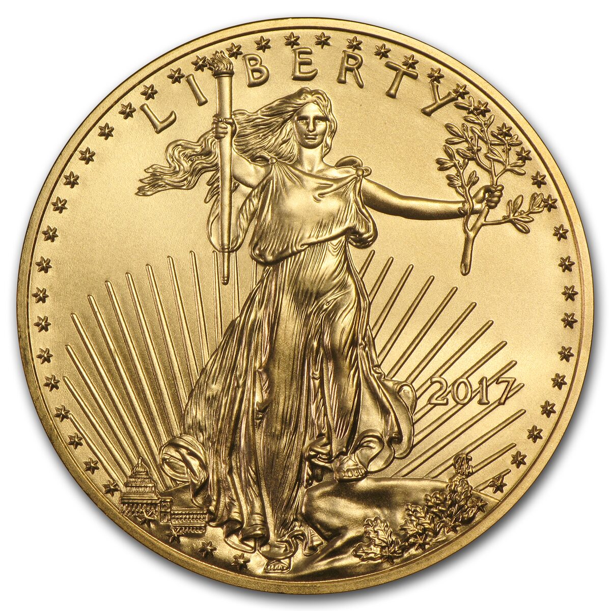 2017 1/2 oz American Gold Eagle (MintDirect® Premier Single)