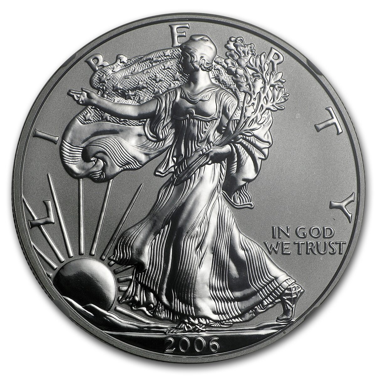 2006-P Reverse Proof Silver Eagle PF-70 NGC