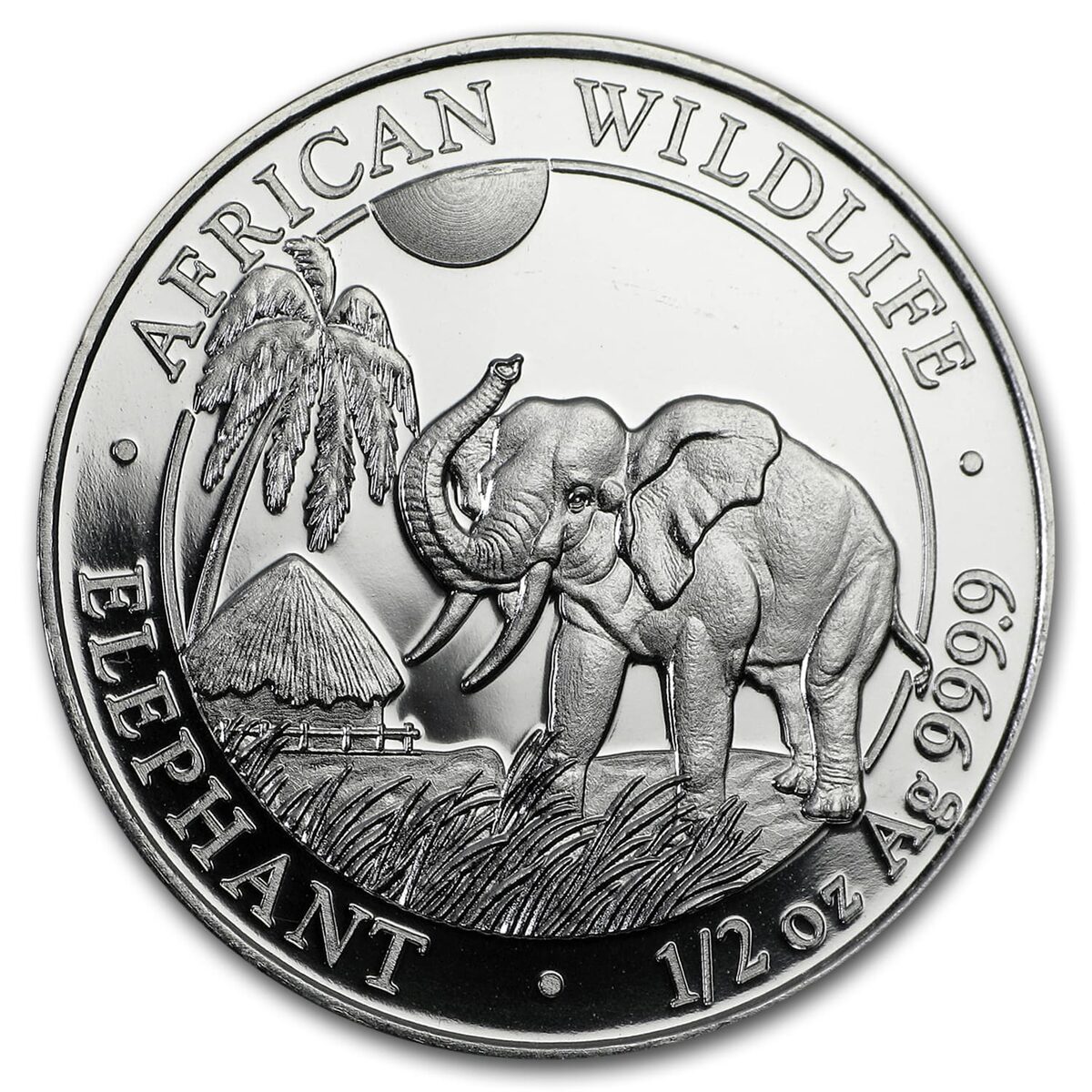 2017 Somalia 1/2 oz Silver Elephant BU