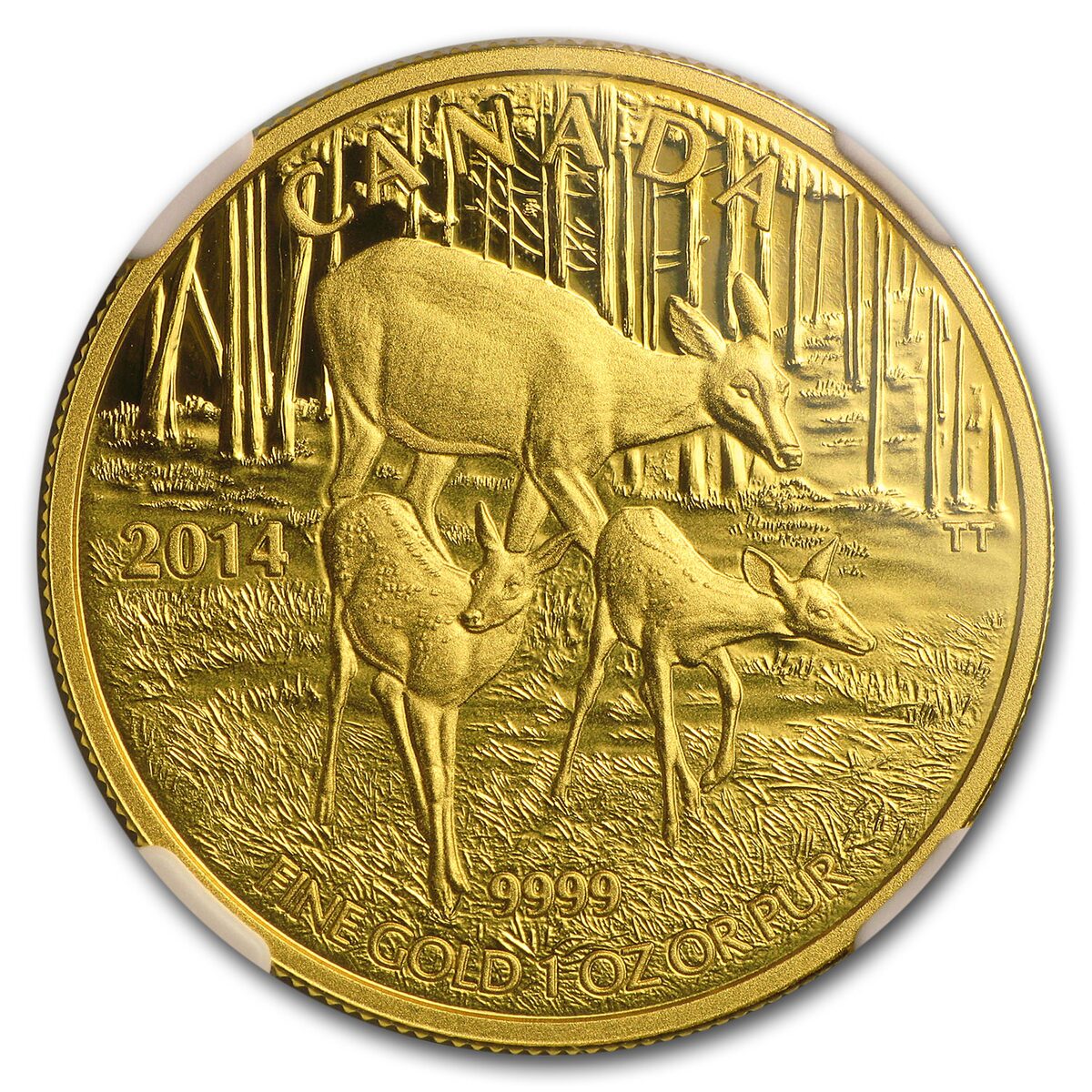 2014 Canada 1 oz Proof Gold $200 White-Tailed Deer (Coin Only)