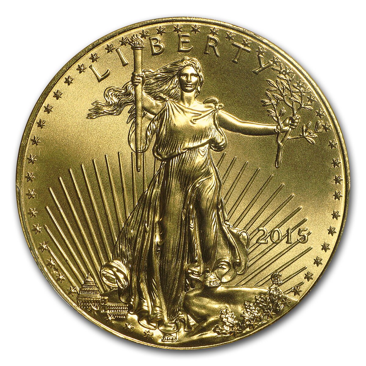 2015 1 oz American Gold Eagle MS-70 PCGS
