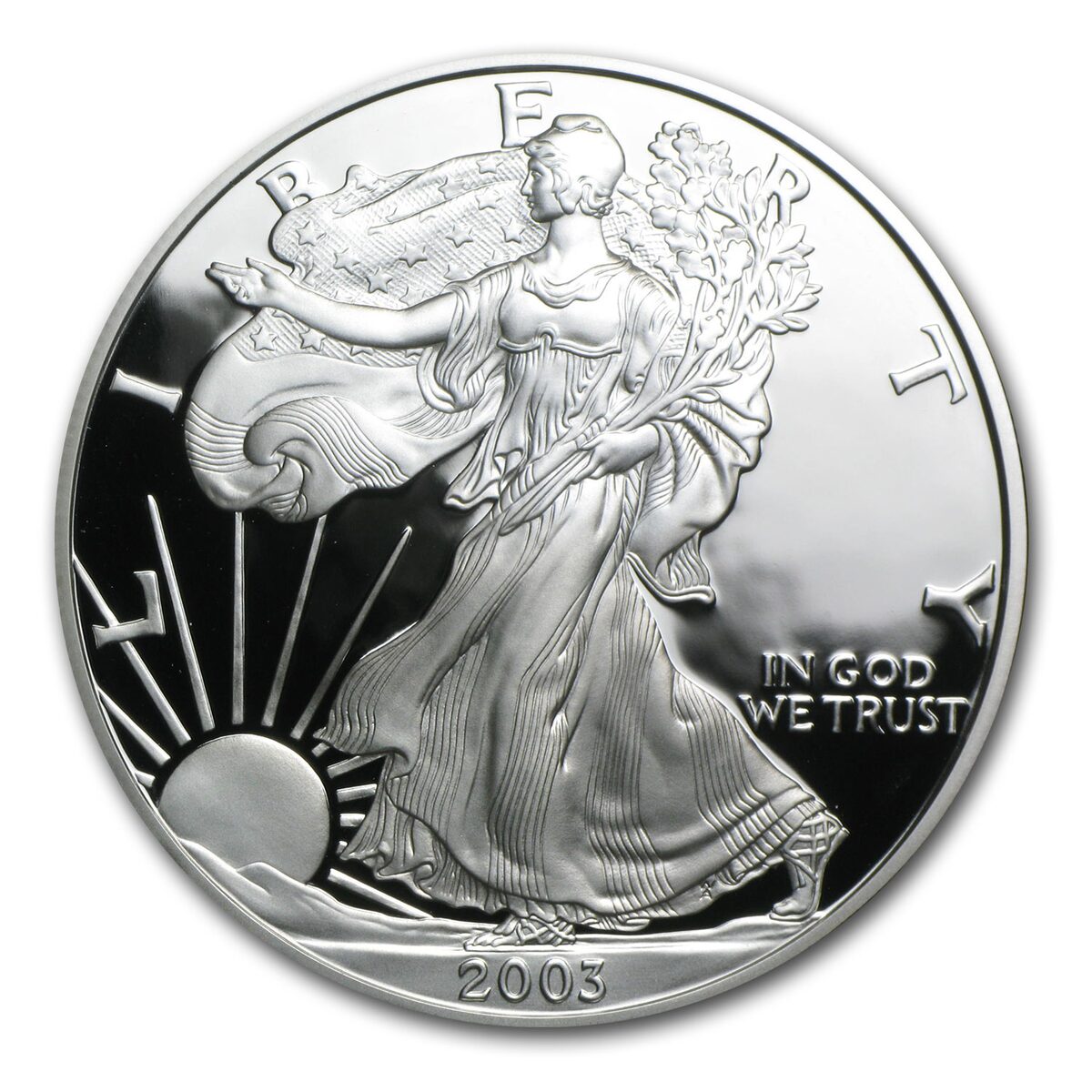 2003-W 1 oz Proof American Silver Eagle (w/Box & COA)