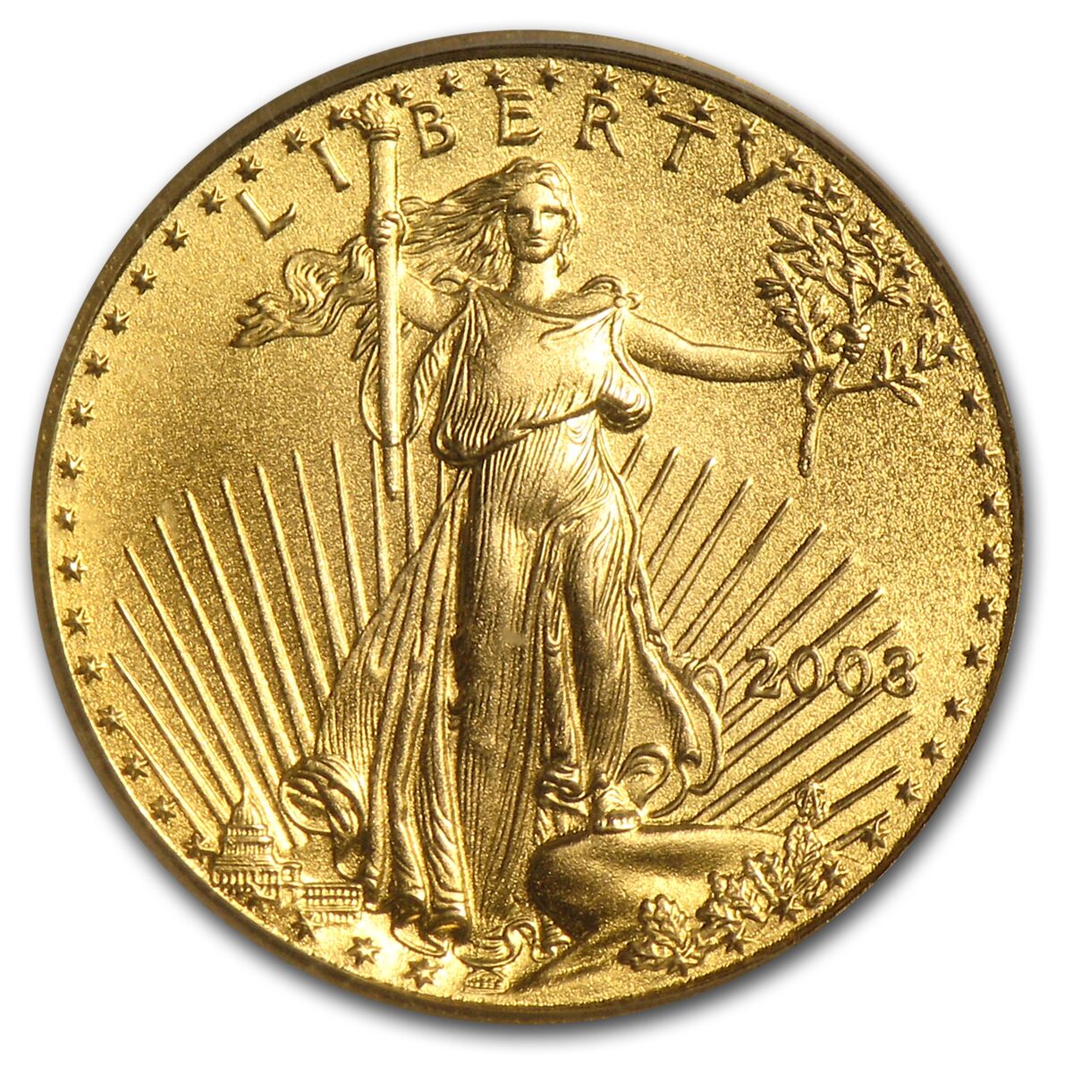 2003 1/10 oz American Gold Eagle MS-69 PCGS