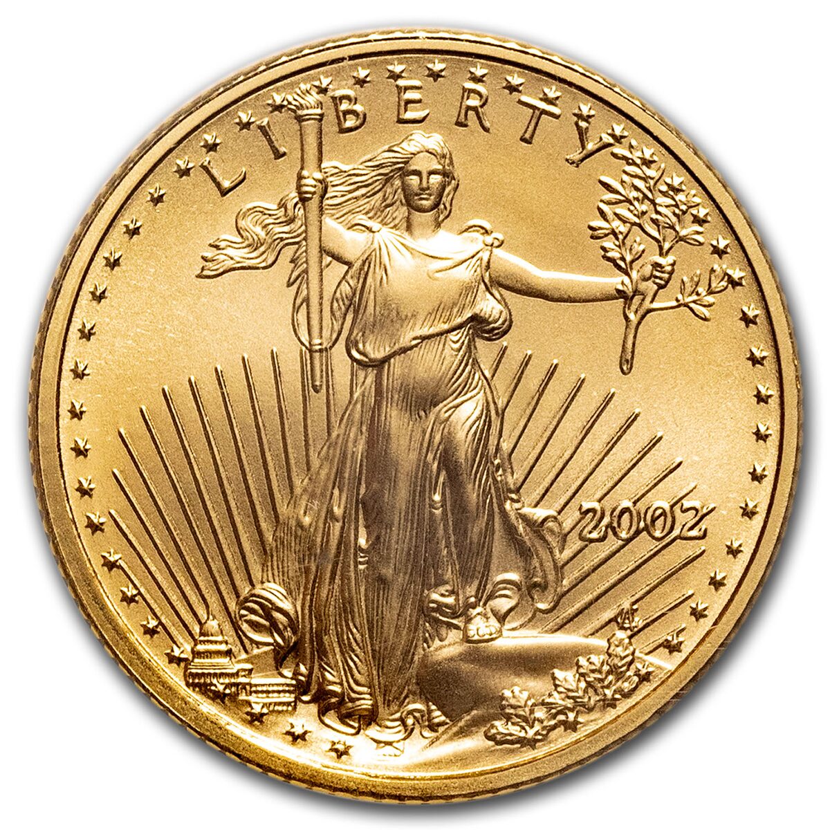 2002 1/10 oz American Gold Eagle MS-70 NGC