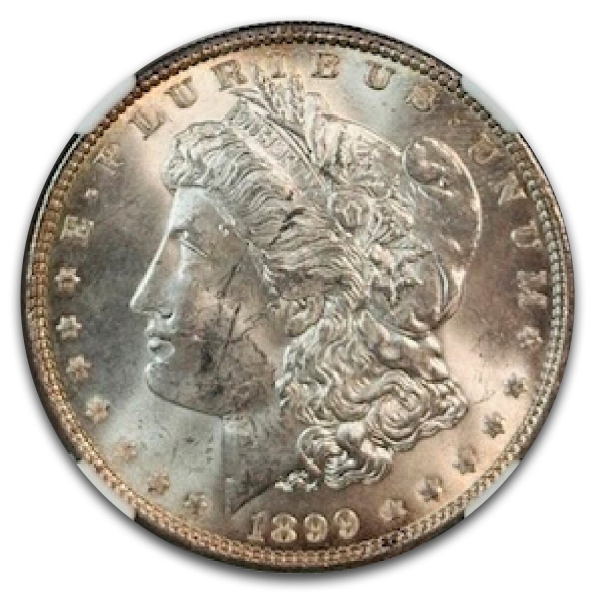 1899 Morgan Dollar MS-61 NGC