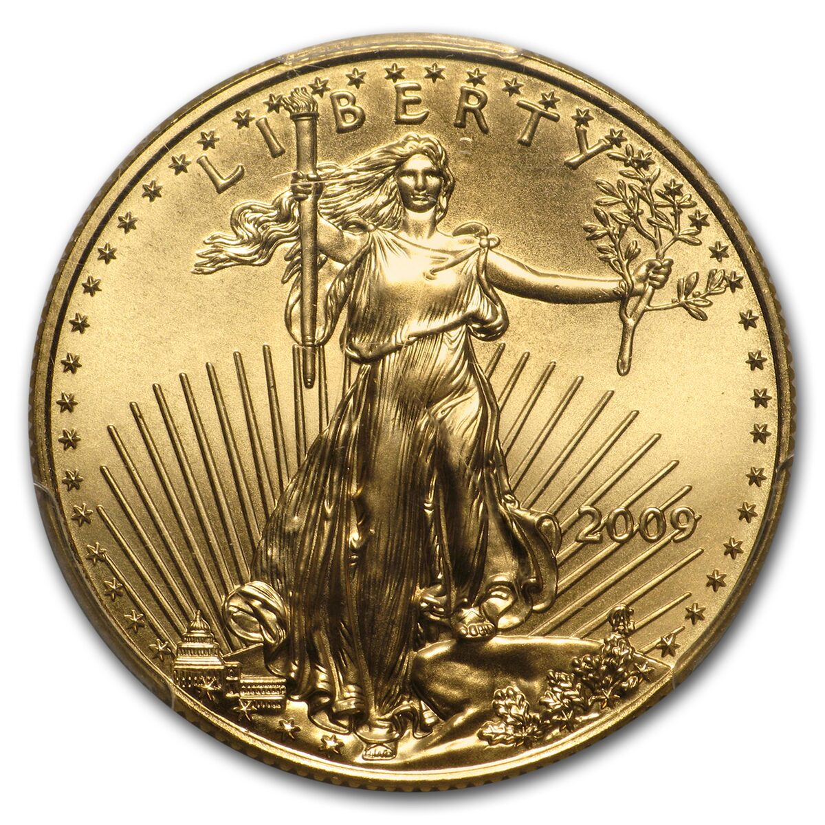 2009 1/2 oz American Gold Eagle MS-70 PCGS