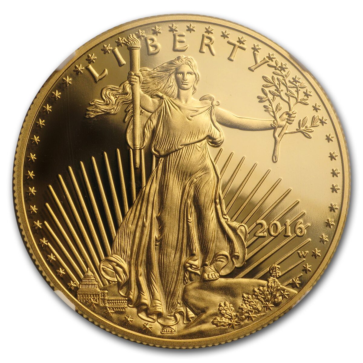 2016-W 1 oz Proof American Gold Eagle PF-69 NGC