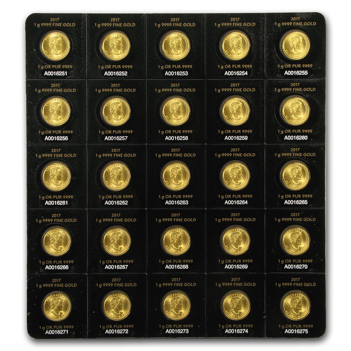 2017 25x 1 gram Gold Maple Leafs - Maplegram25™ (In Assay Sleeve)