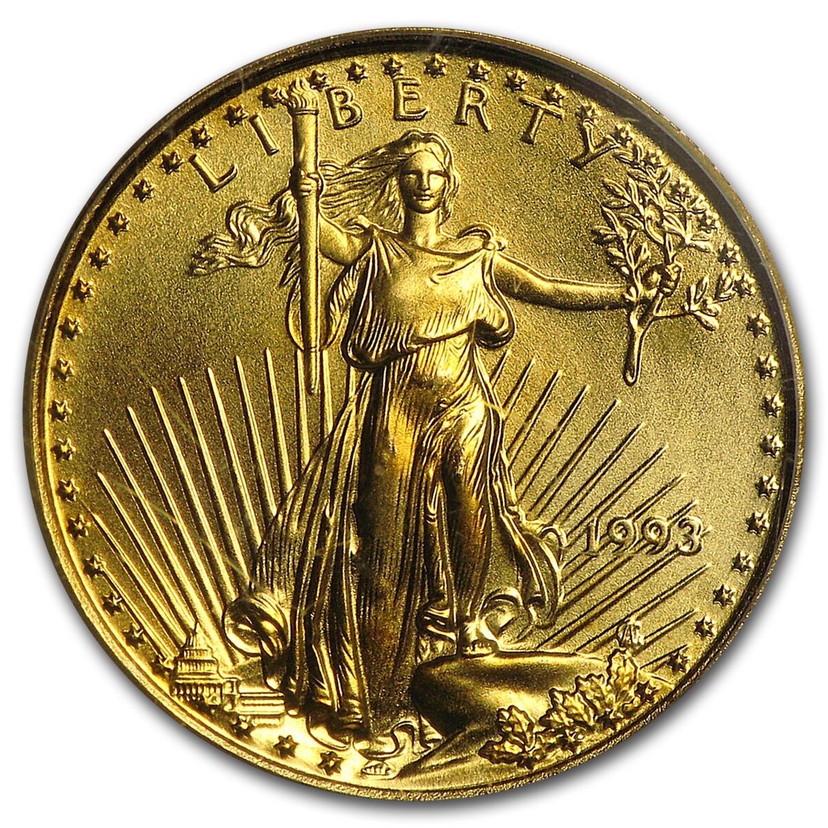 1993 1/10 oz American Gold Eagle MS-69 PCGS