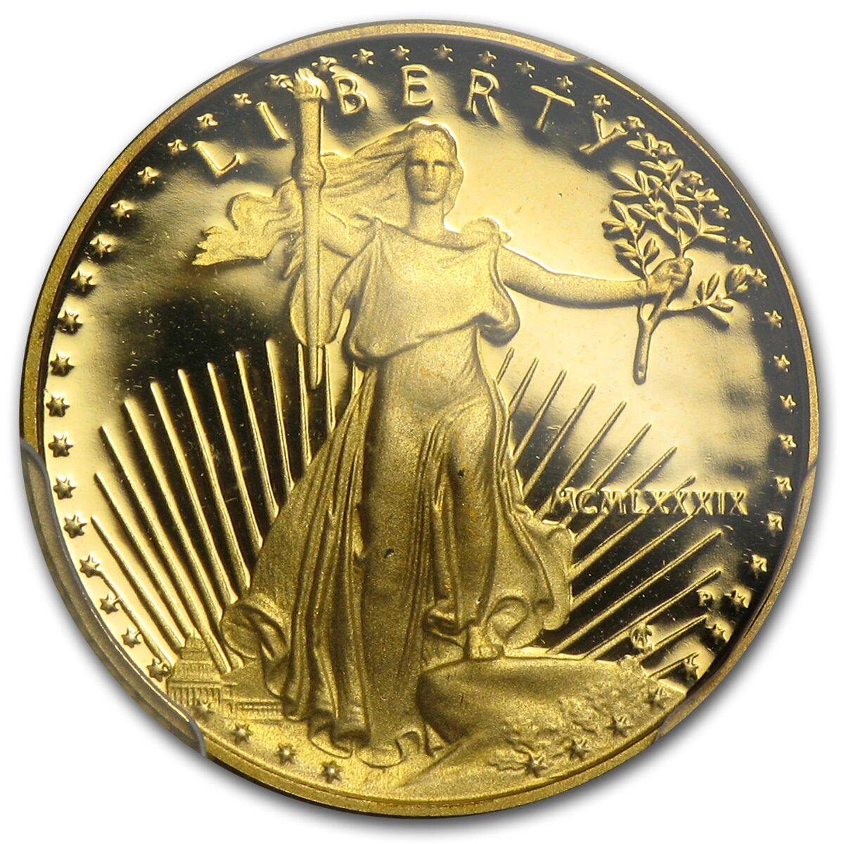 1989-P 1/10 oz Proof American Gold Eagle PR-69 DCAM PCGS