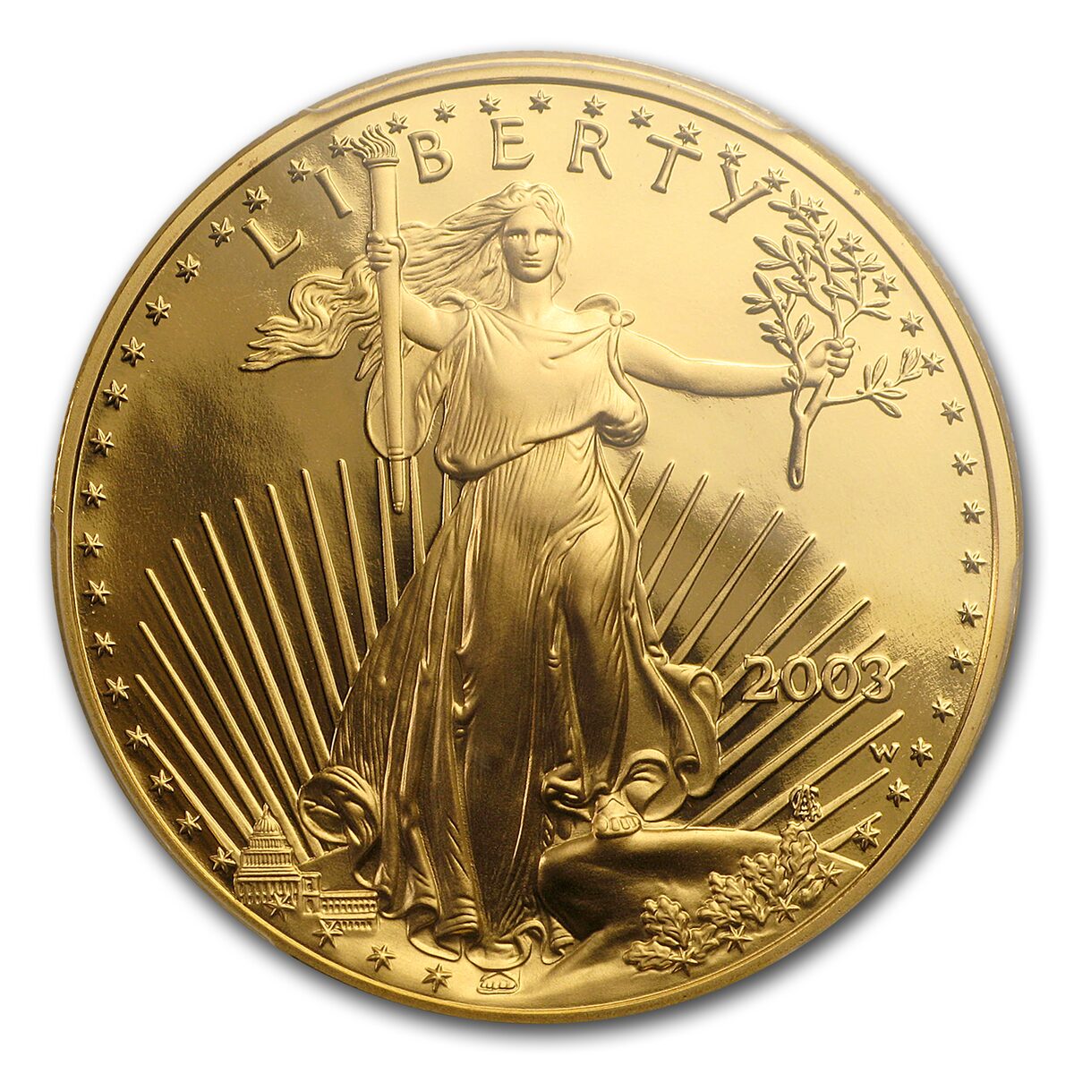 2003-W 1 oz Proof American Gold Eagle PR-69 PCGS