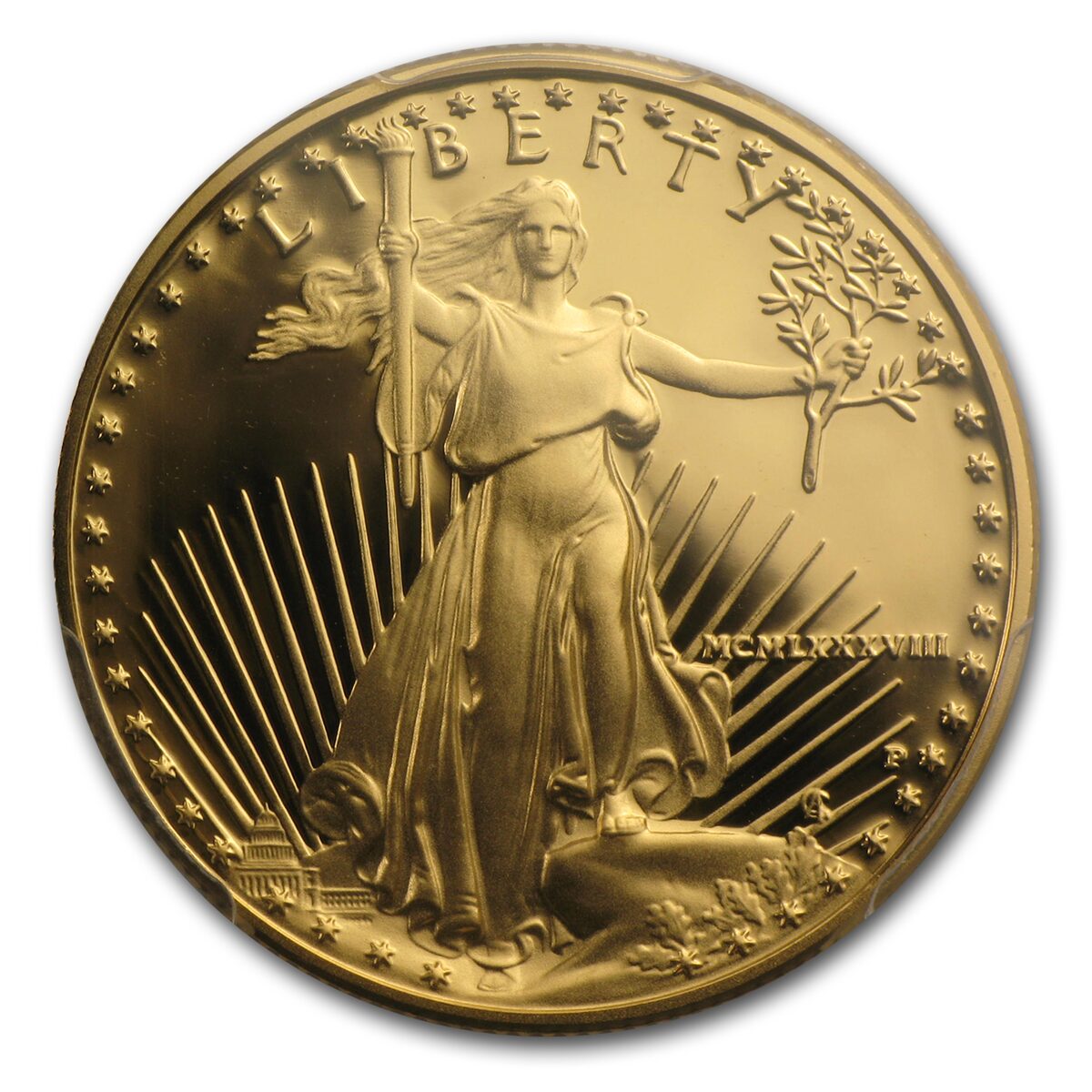 1988-P 1/2 oz Proof American Gold Eagle PR-69 DCAM PCGS