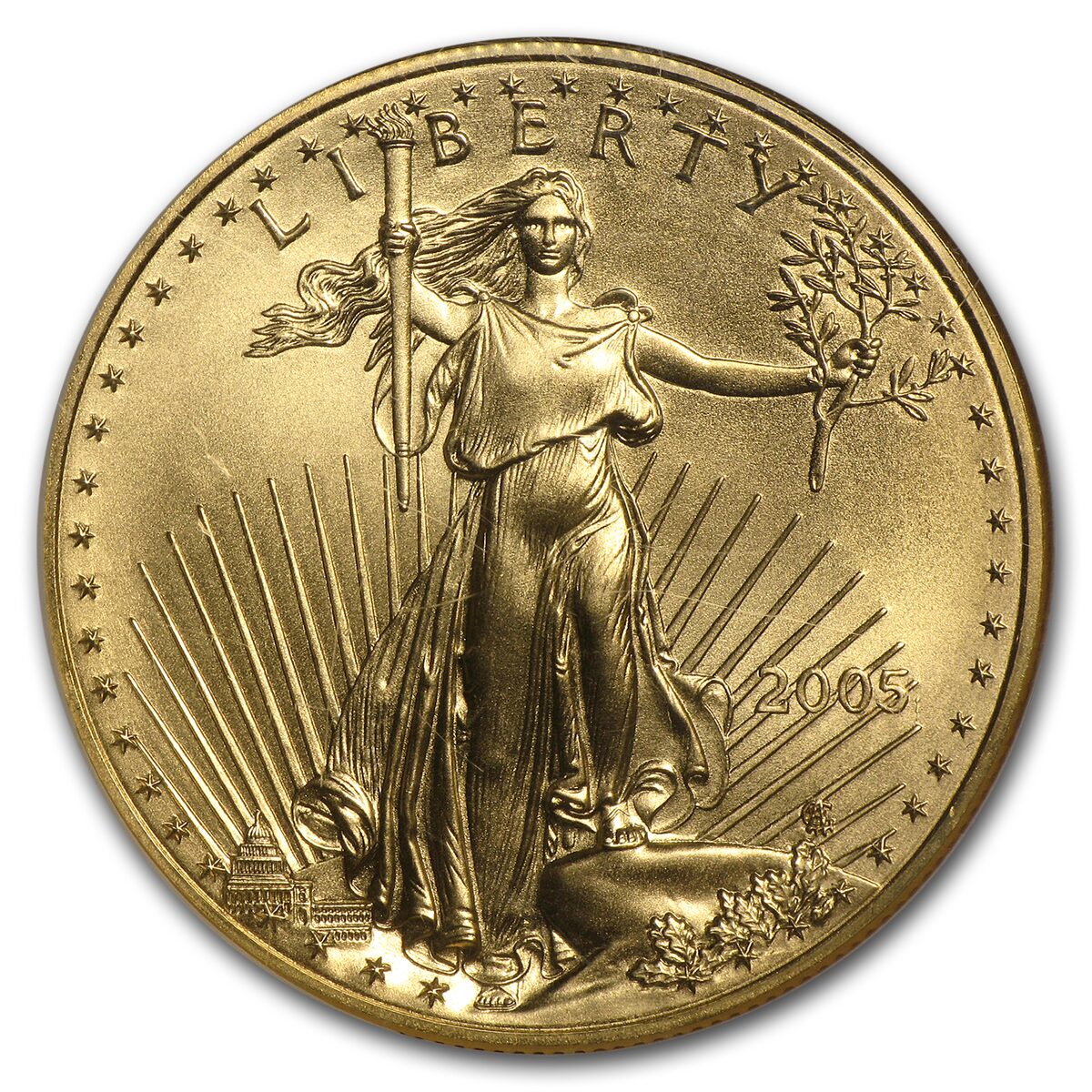 2005 1 oz American Gold Eagle MS-70 NGC