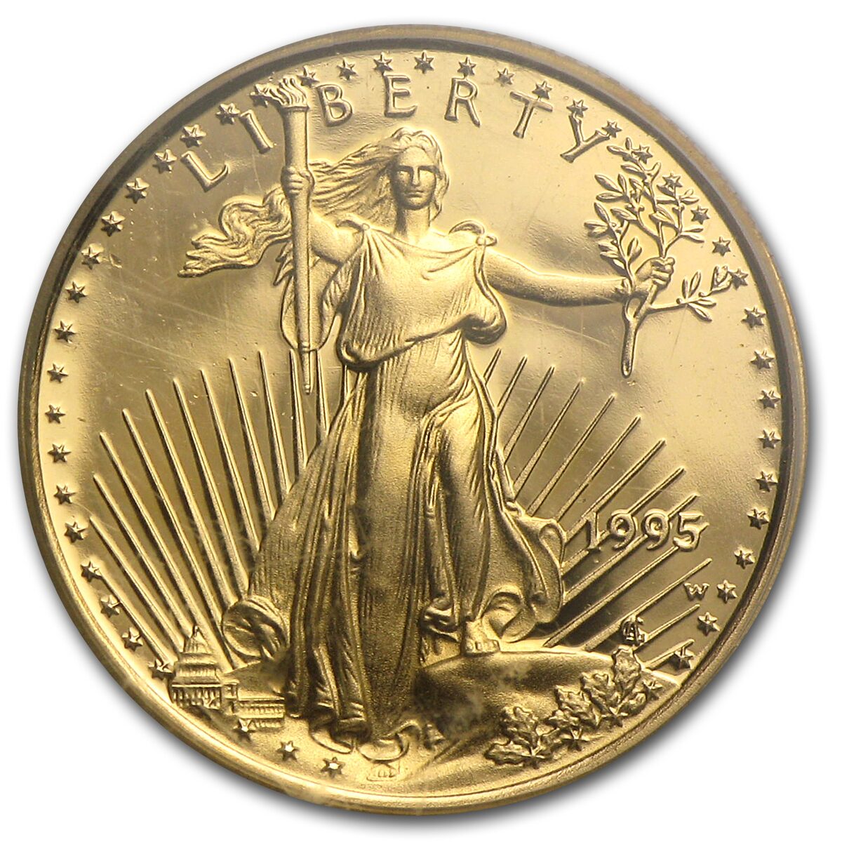1995-W 1/10 oz Proof American Gold Eagle PR-69 DCAM PCGS