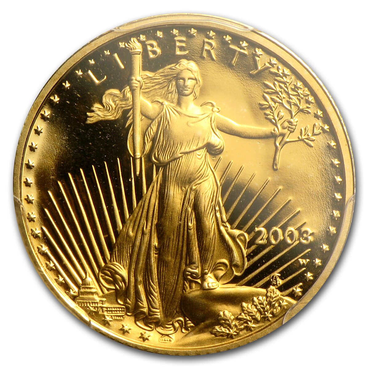 2003-W 1/10 oz Proof American Gold Eagle PR-69 PCGS