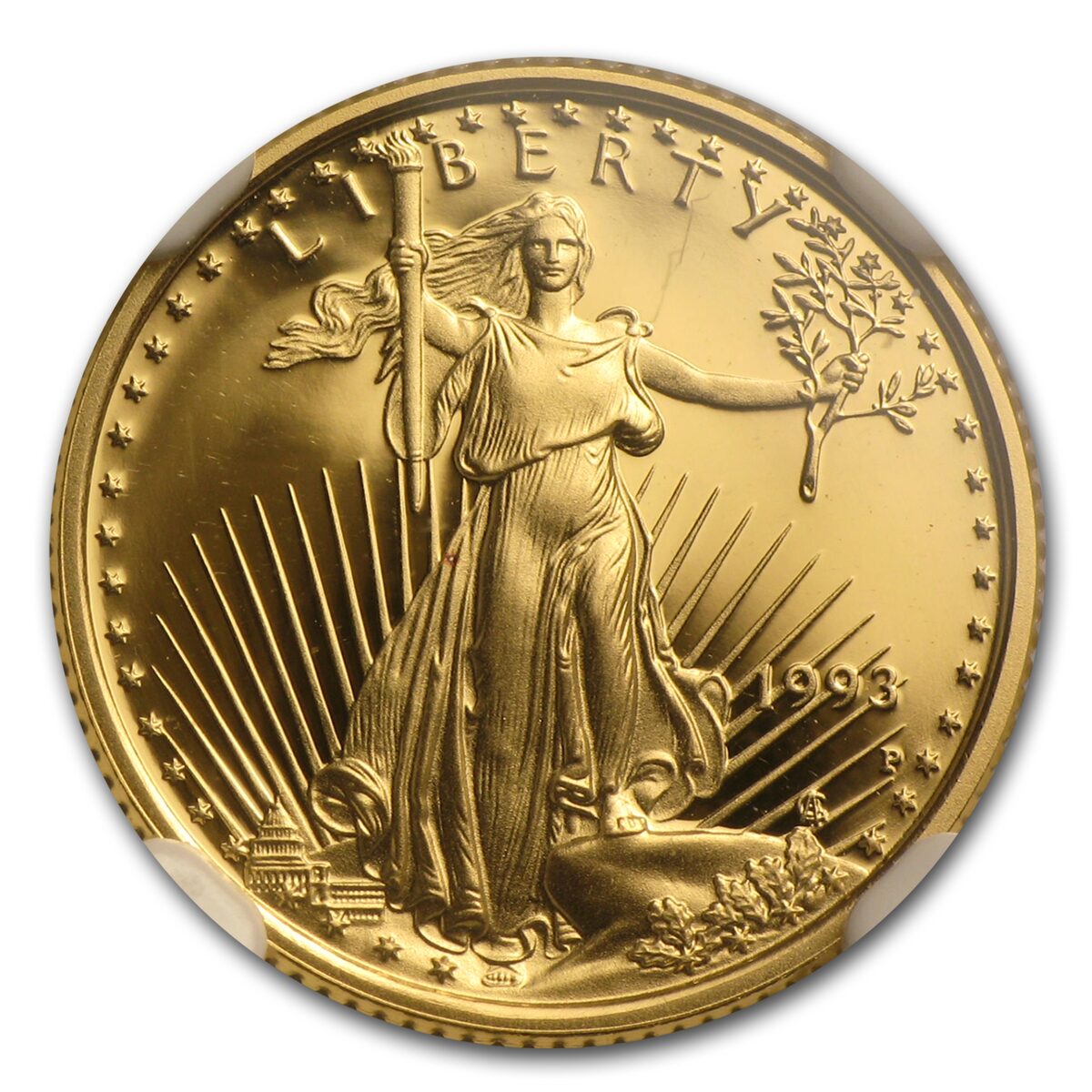 1993-P 1/10 oz Proof American Gold Eagle PF-69 UCAM NGC
