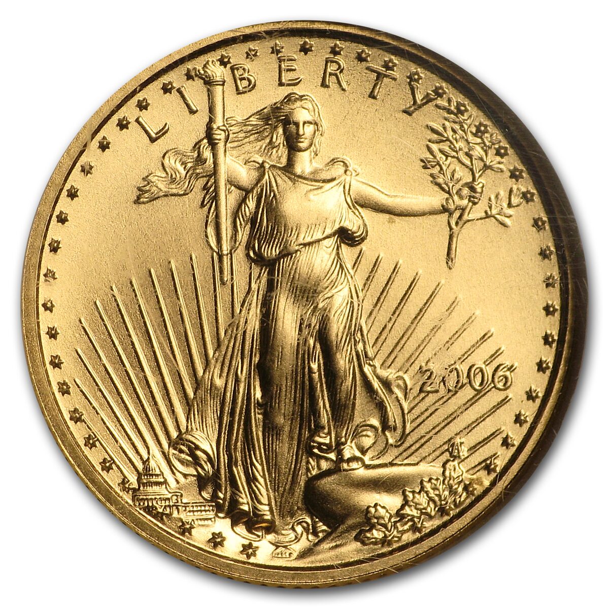 2006 1/10 oz American Gold Eagle MS-69 NGC (First Strikes)