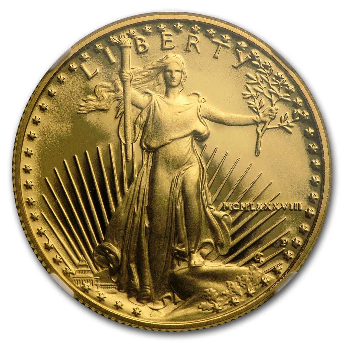 1988-P 1/2 oz Proof American Gold Eagle PF-69 UCAM NGC