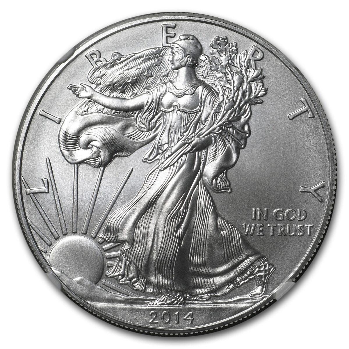 2014-W Burnished American Silver Eagle MS-69 NGC
