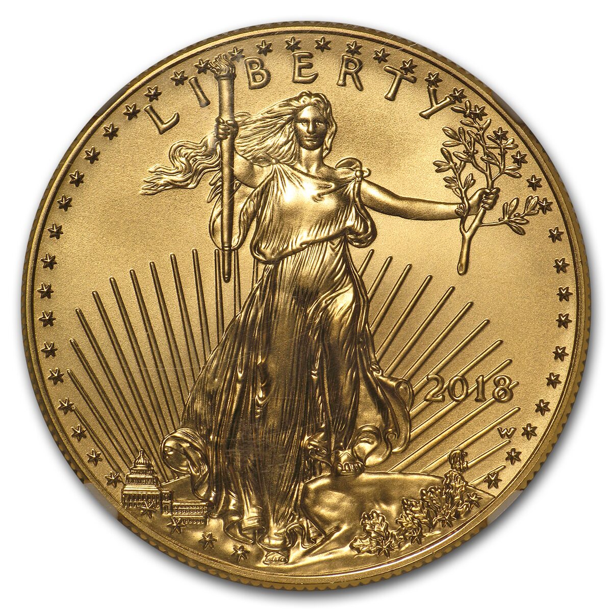2018-W 1 oz Burnished Gold Eagle MS-70 NGC (ER)