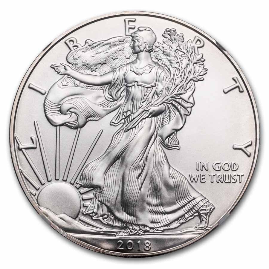 2018-W Burnished Silver Eagle MS-70 NGC (ER/FR)