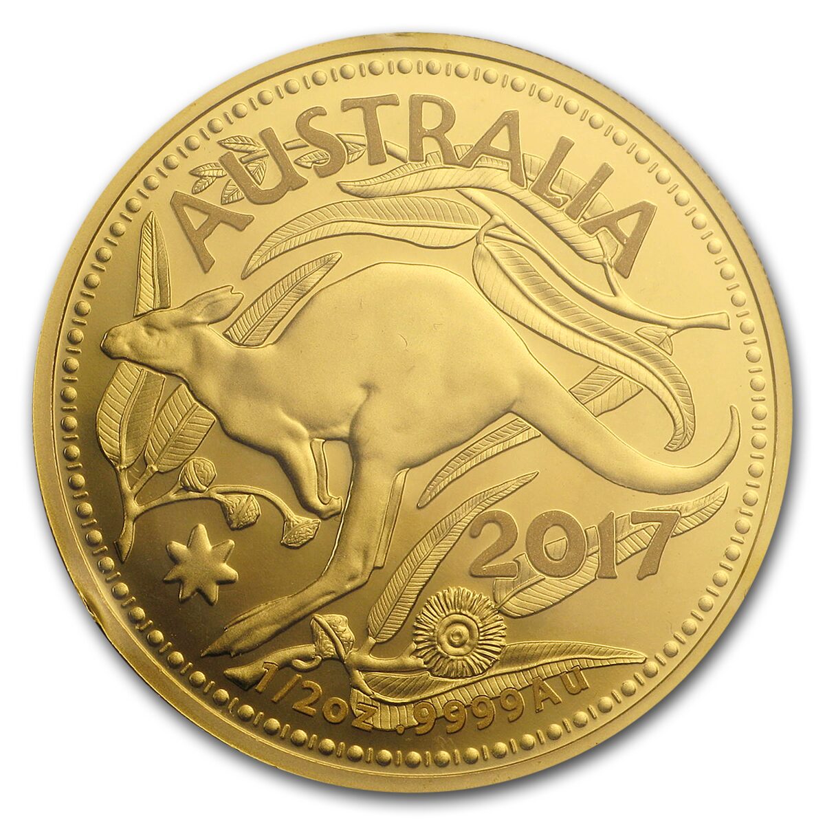 2017 Australia 1/2 oz Gold RAM Kangaroo (In Assay)