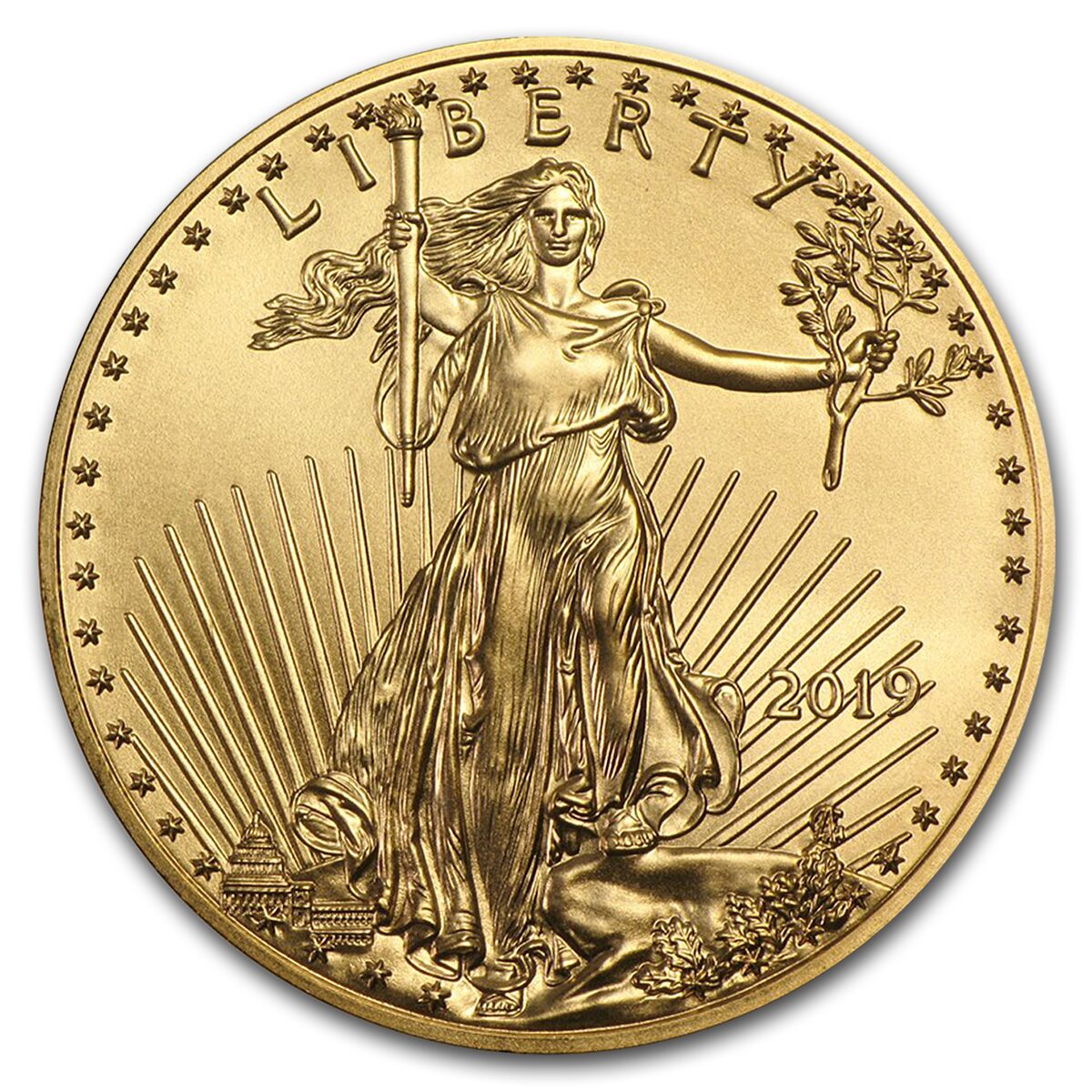 2019 1/10 oz American Gold Eagle MS-70 NGC (Early Releases)
