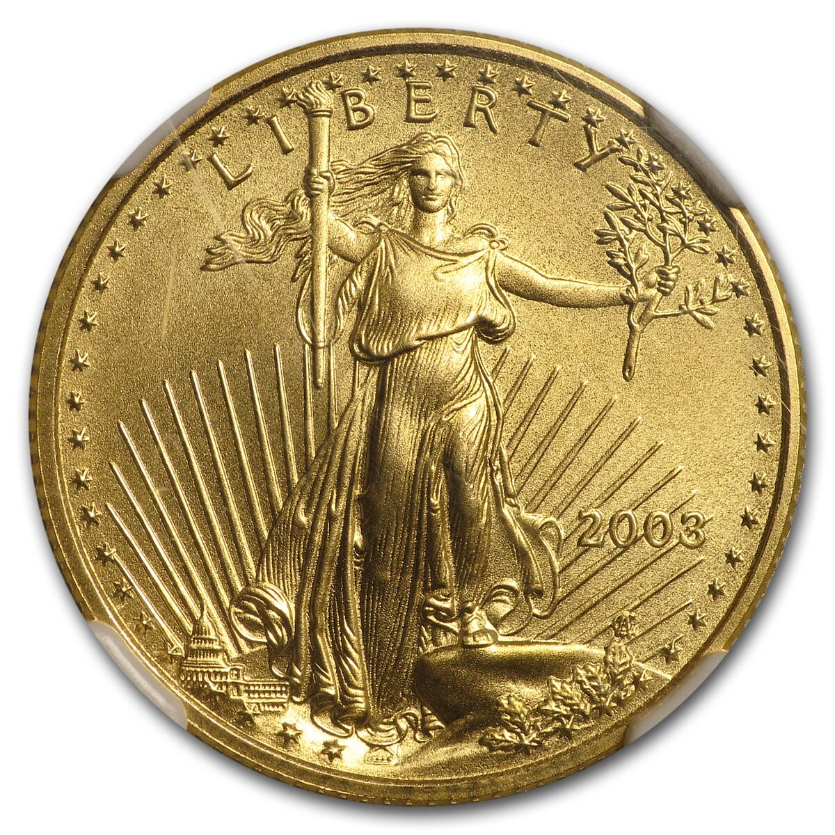 2003 1/4 oz American Gold Eagle MS-70 NGC