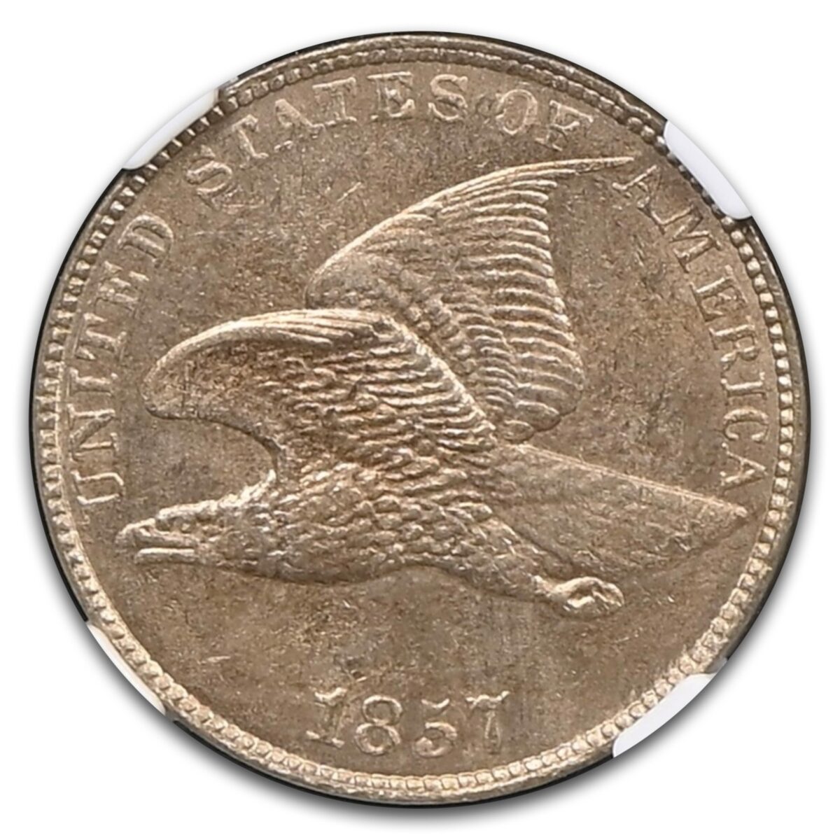 1857 Flying Eagle Cent MS-63 NGC