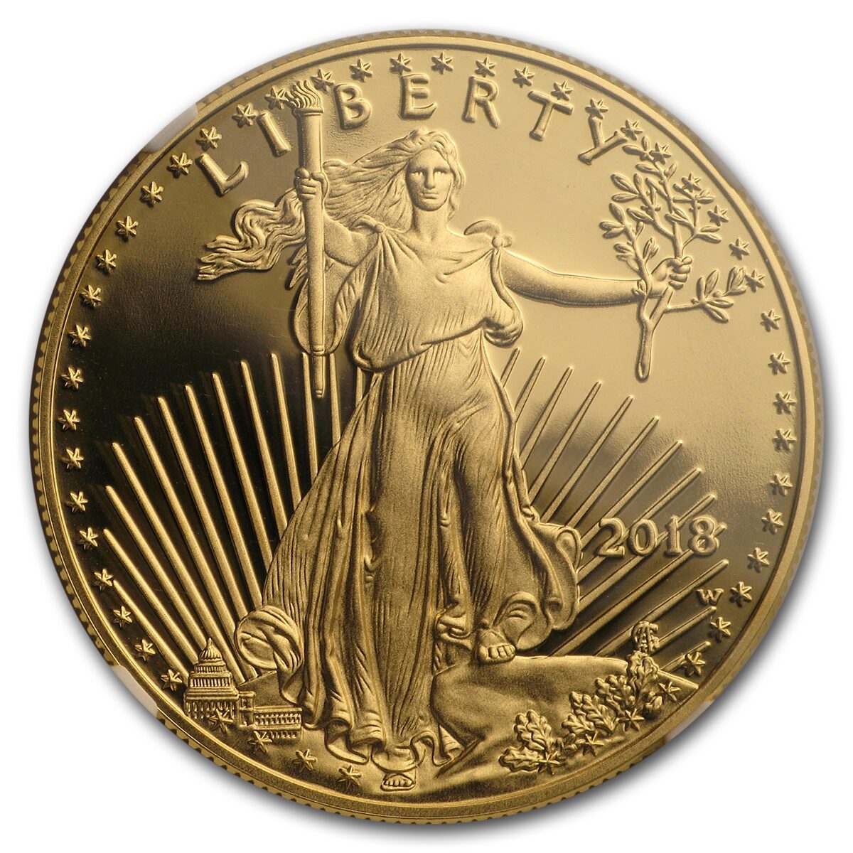 2018-W 1 oz Proof American Gold Eagle PF-70 NGC