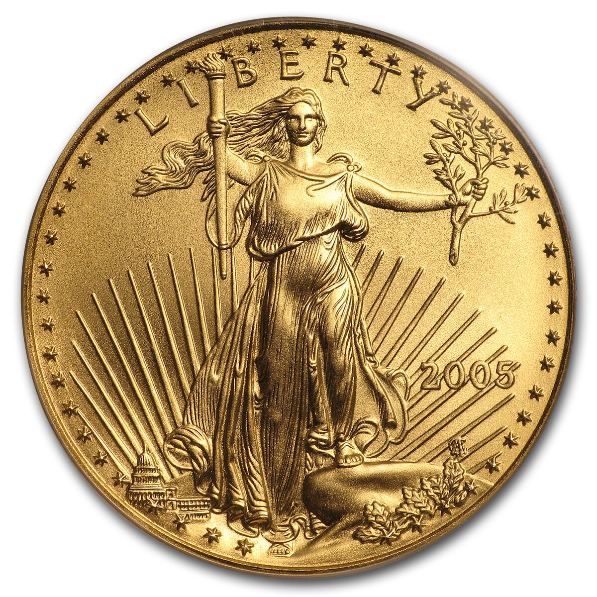 2005 1/2 oz American Gold Eagle MS-69 PCGS (FirstStrike®)
