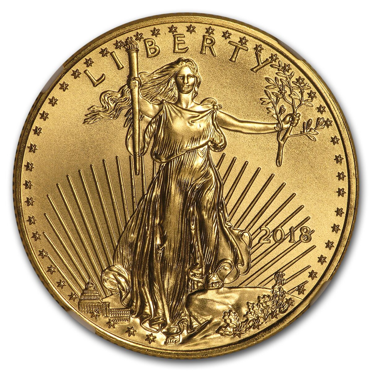 2018 1/2 oz American Gold Eagle MS-70 NGC