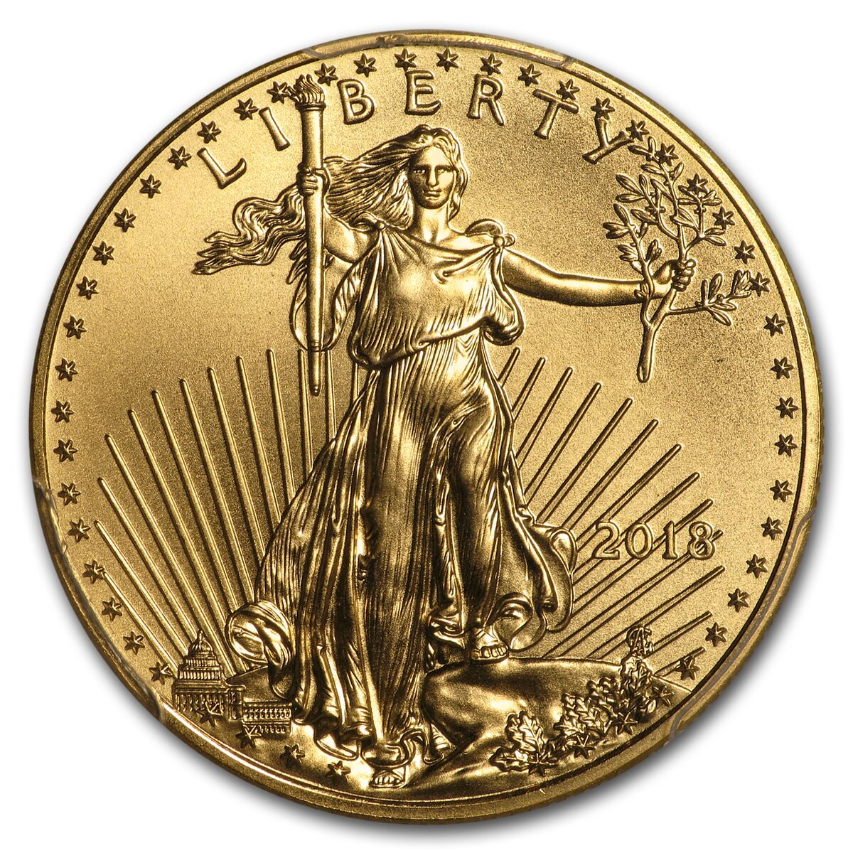 2018 1/2 oz American Gold Eagle MS-70 PCGS