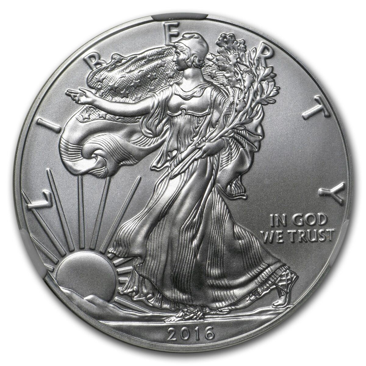 2016-W Burnished Silver Eagle MS-69 NGC (First Releases)
