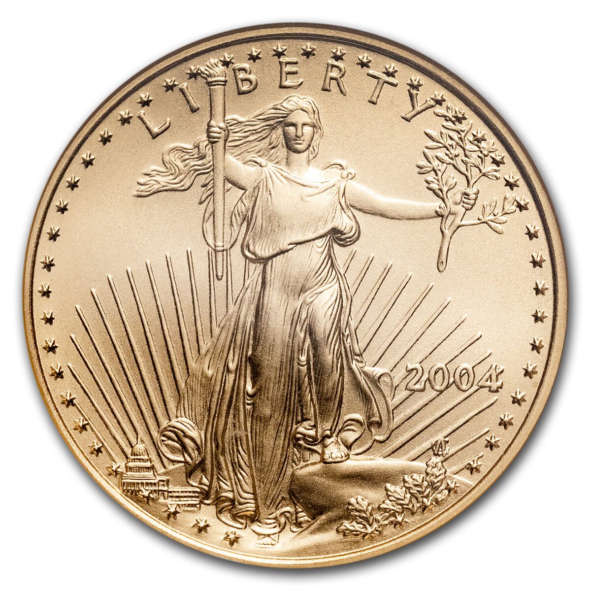 2004 1/2 oz American Gold Eagle MS-70 NGC
