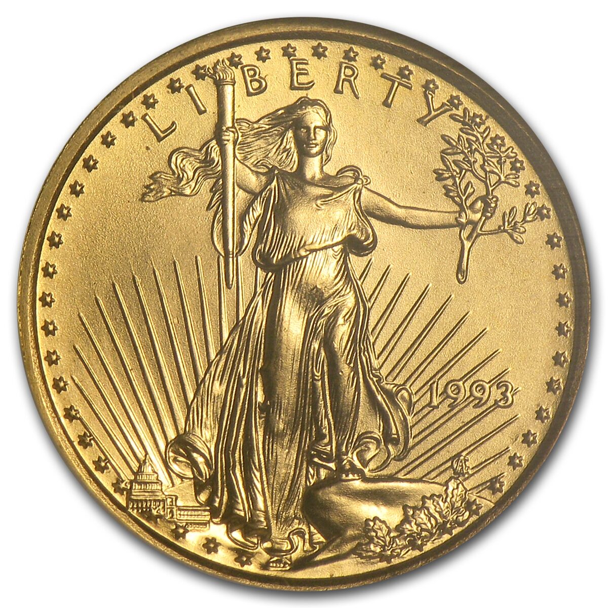 1993 1/10 oz American Gold Eagle MS-69 NGC