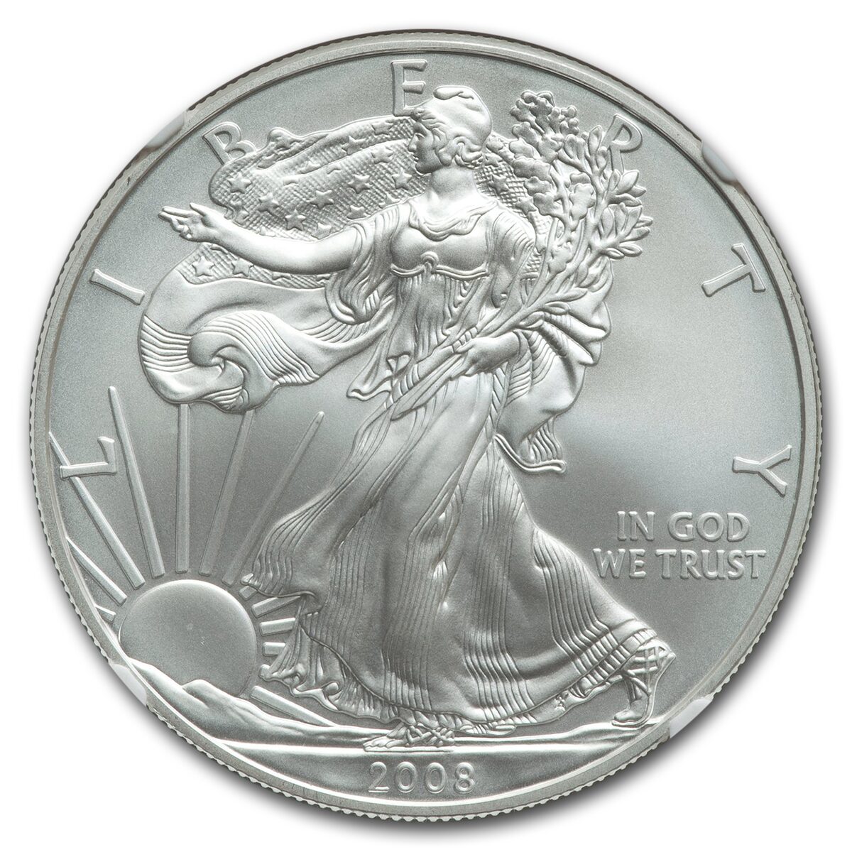 2008-W Burnished American Silver Eagle MS-70 NGC (Rev '07, Moy)