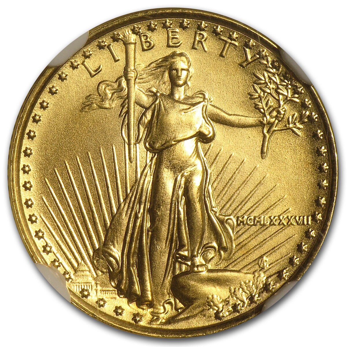 1987 1/10 oz American Gold Eagle MS-70 NGC