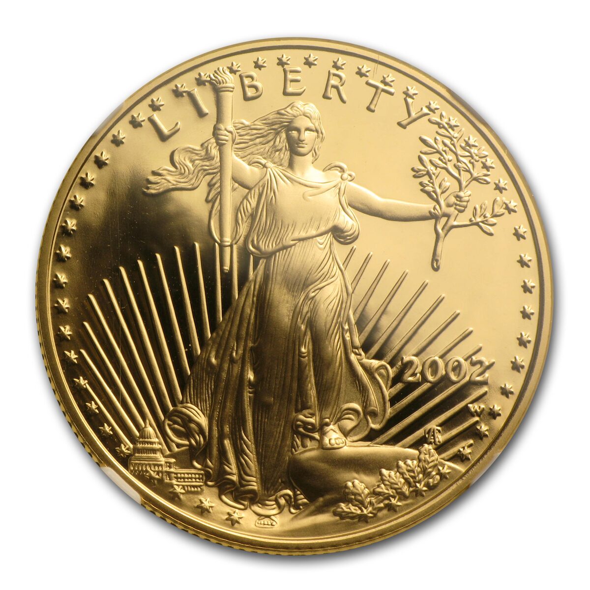 2002-W 1/2 oz Proof American Gold Eagle PF-70 UCAM NGC