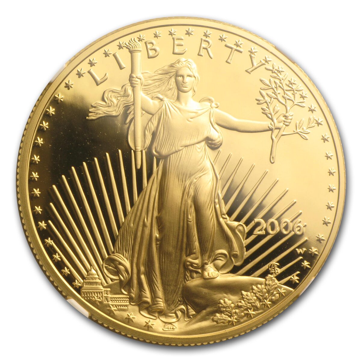 2006-W 1 oz Proof American Gold Eagle PF-70 UCAM NGC