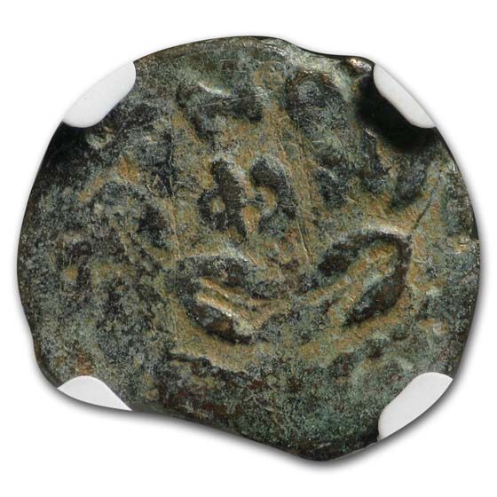 Judaea Procurators AE Prutah Porcius Festus (59-62 AD) NGC