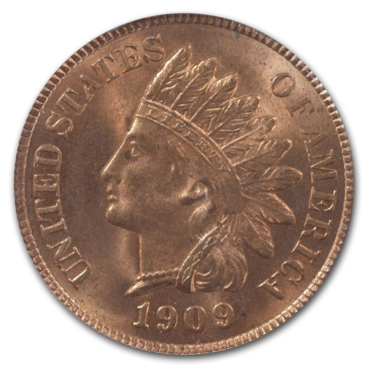 1909 Indian Head Cent MS-63 PCGS (Red)