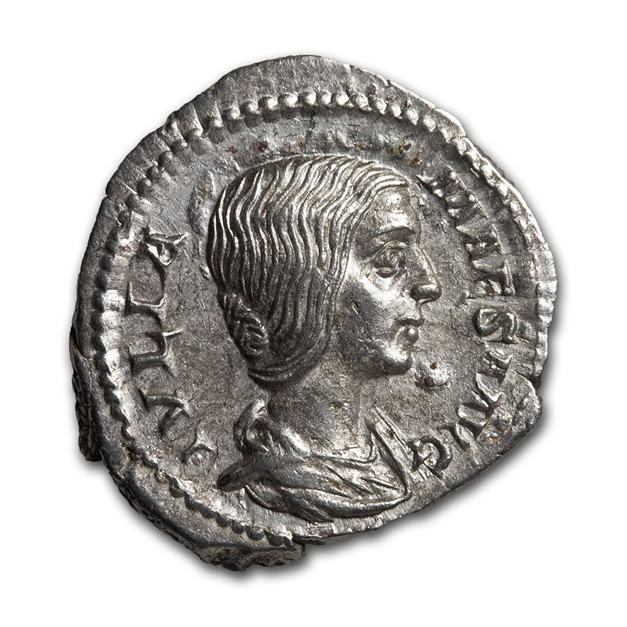 Roman Silver Denarius Random Emperors (69 AD-244 AD) AU