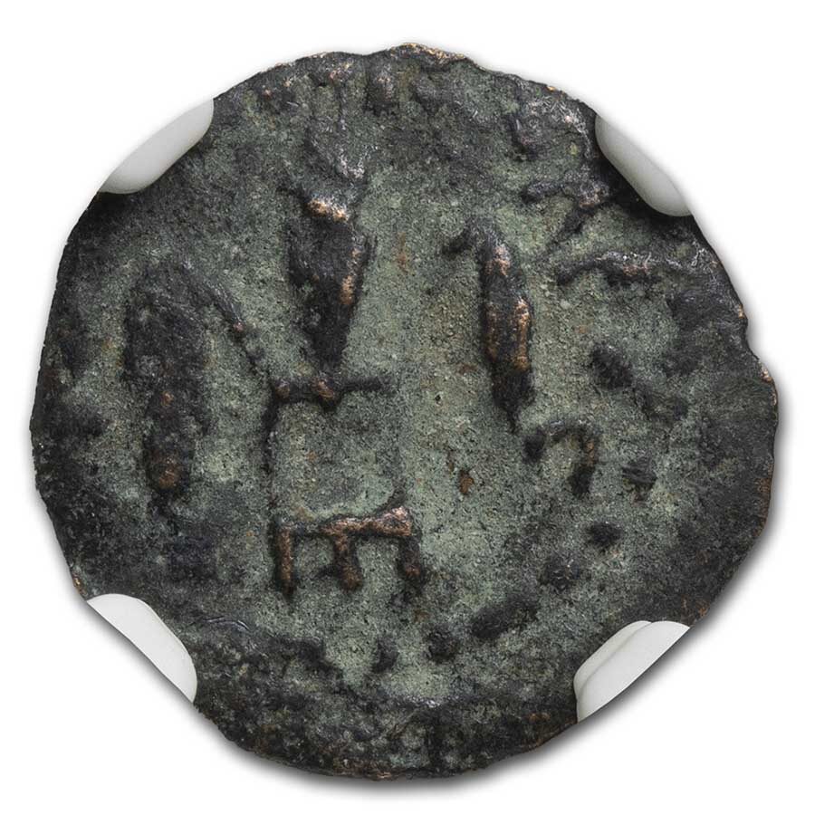 Judaea Procurators Prutah Pontius Pilate (26-36 AD) Ch Fine NGC