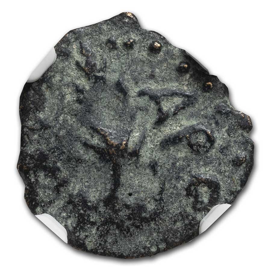 Judaea Procurators AE Prutah Porcius Festus (59-62 AD) Fine NGC