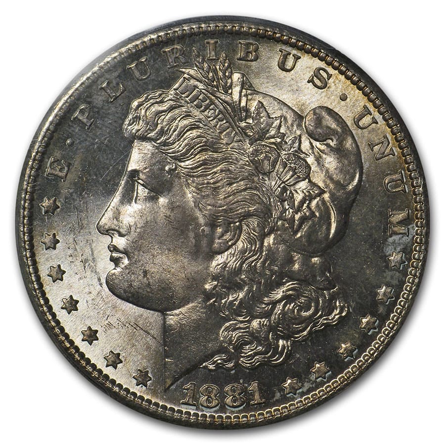 1878-1904 Morgan Dollars MS-64 PCGS (Toned Obv/Rev)