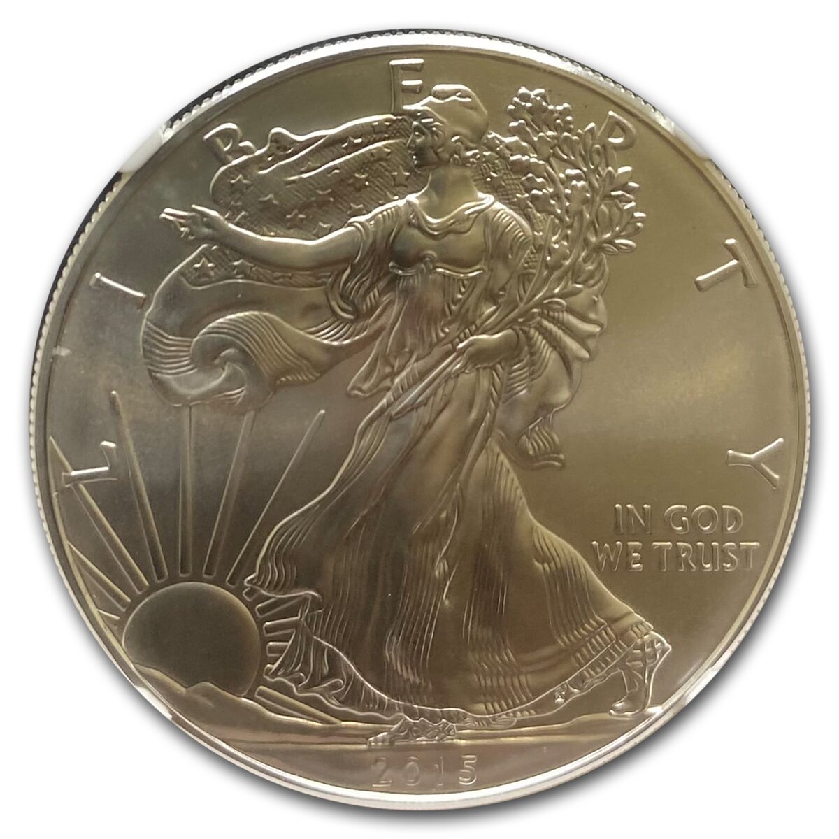 2015 American Silver Eagle MS-70 NGC