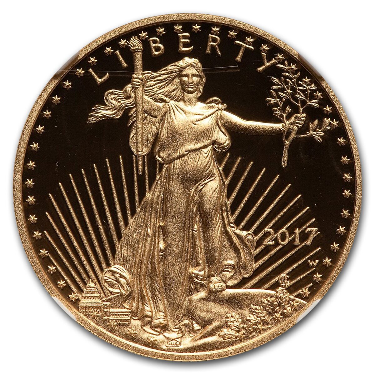 2017-W 1/2 oz Proof American Gold Eagle PF-70 NGC (Moy)