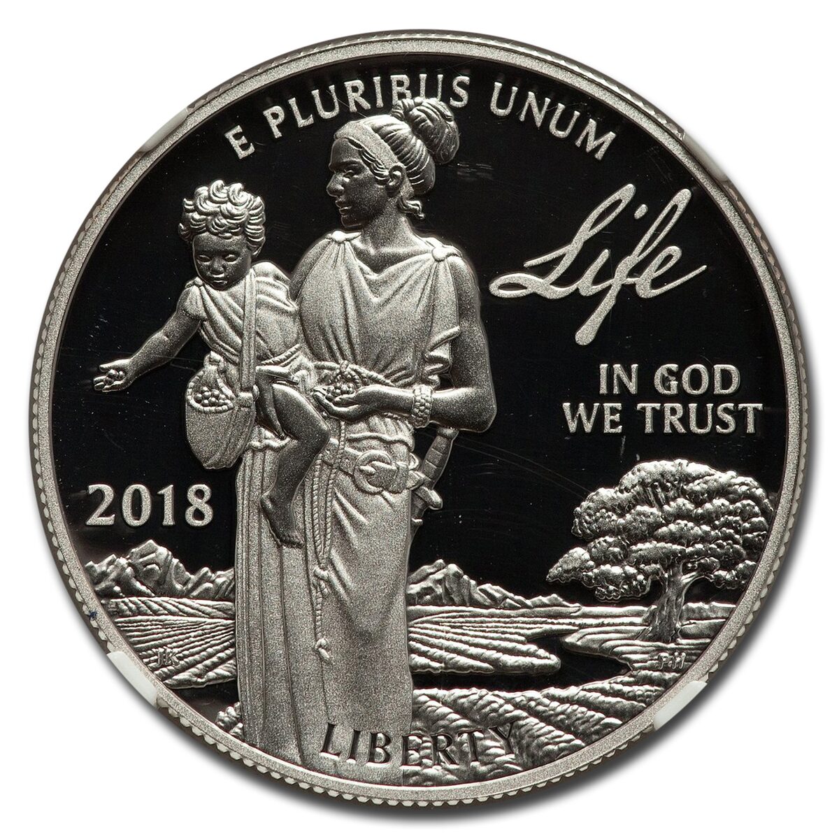 2018-W 1 oz Platinum American Eagle PF-70 UCAM NGC (Moy Signed)