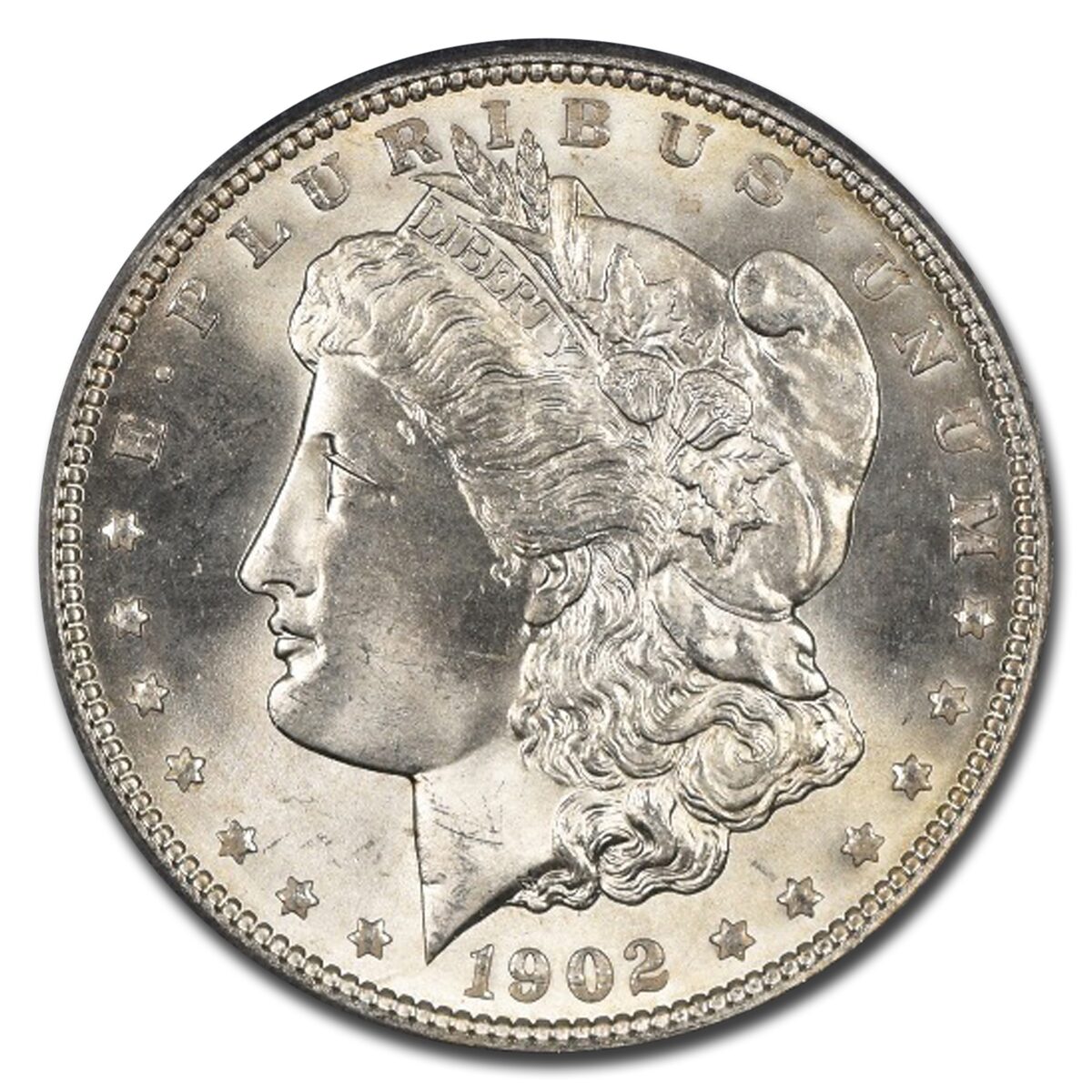 1902 Morgan Dollar MS-65 PCGS